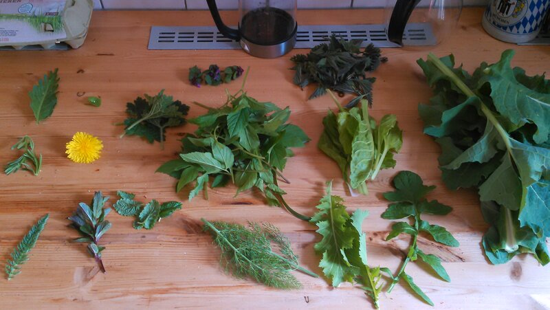 Spring harvest of greens