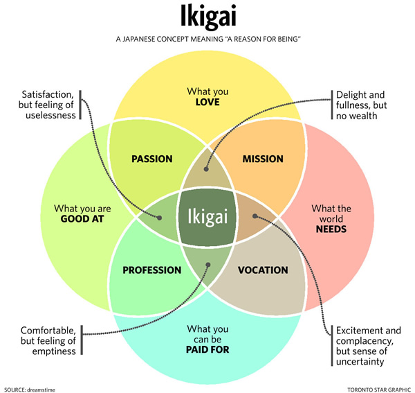 The journey: reaching for ikigai