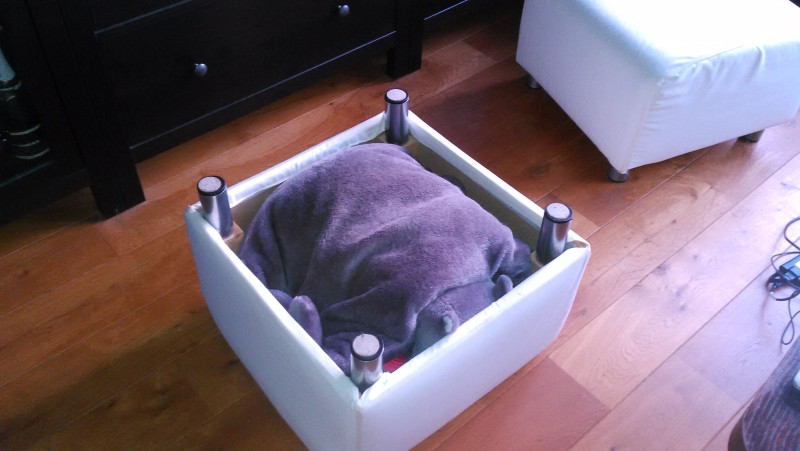 ottoman upside down with hippo cushion on top
