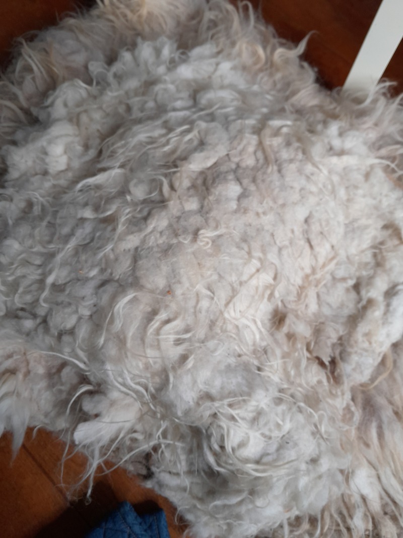 final cover with felted sheepskin