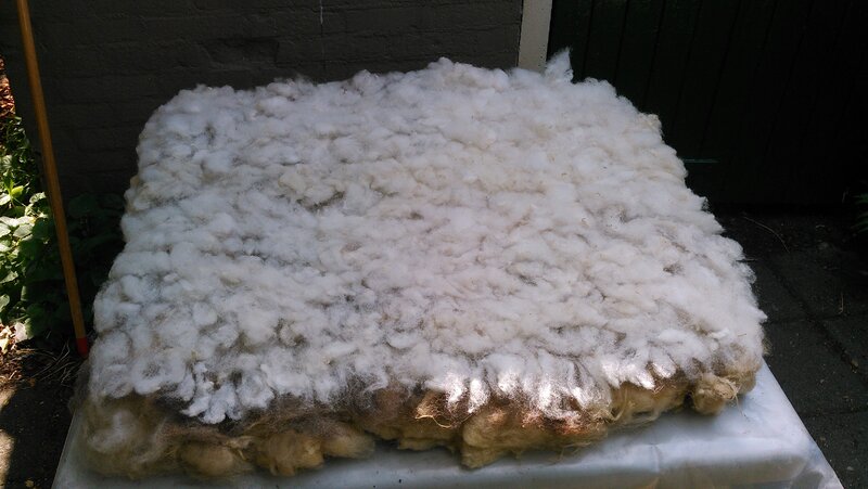 Two additional layers of wool for felting.